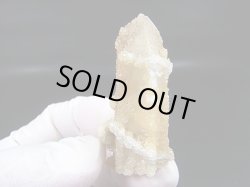 画像1: 南アフリカ産フェアリークオーツ 19.4g