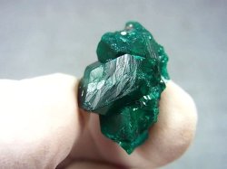 画像1: コンゴ産ダイオプテーズ原石（大粒結晶） 4.4g