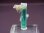 画像2: ナイジェリア産アクアマリン柱状結晶（貫入り/水晶共生） 11.6カラット (2)