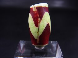 画像2: ヴィンテージ：「老緑色虎牙」西蔵（チベット）天珠 直径約14×28mm