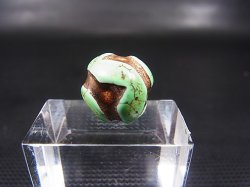 画像1: ヴィンテージ：「雪域天珠：老緑色虎牙」西蔵（チベット）天珠 直径約14×13mm