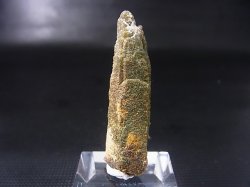 画像1: 柿野鉱山産緑水晶（ヘデンベルガイト/緑閃石入りインターフェレンス型） 7.6g