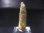 画像1: 柿野鉱山産緑水晶（ヘデンベルガイト/緑閃石入りインターフェレンス型） 7.6g (1)