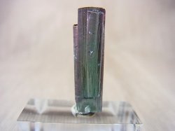 画像1: ブラジル産ブルーグリーン/ピンクヴェルデライト（グリーントルマリン）柱状結晶 12.5カラット