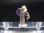 画像1: ドイツ・ザクセン州産フローライトon水晶(シデライト共生) 1.0g (1)