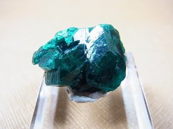 画像2: コンゴ産ダイオプテーズ原石（大粒結晶） 7.2g
