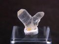 マダガスカル産ジャパニーズツイン（日本式双晶水晶/エレスチャル） 0.4g