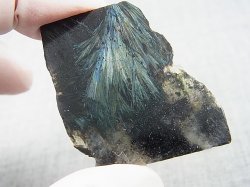 画像1: フィンランド産ヌーマイト研磨スライス（片面研磨） 11.2g