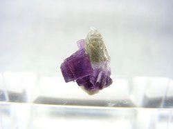 画像1: ドイツ・ザクセン州産フローライトonグリーン水晶 0.6g