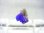画像2: ドイツ・ザクセン州産フローライトonグリーン水晶 0.6g (2)