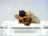 ドイツ・ザクセン州産フローライトonグリーン水晶(シデライト共生) 1.3g
