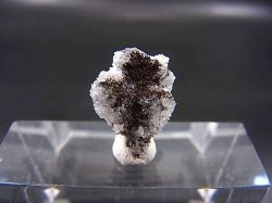 画像1: ルーマニア産ブーランジェ鉱/水晶原石 0.4g