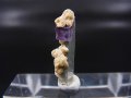 ドイツ・ザクセン州産フローライトonグリーン水晶(シデライト共生) 0.6g