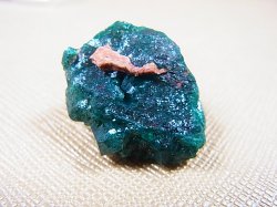画像2: コンゴ産ダイオプテーズ原石（大粒結晶） 7.9g