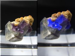 画像2: ドイツ・ザクセン州産フローライトonグリーン水晶(シデライト共生) 1.6g