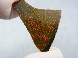 画像1: 飯盛ラボストーン（IL-stone）「レアカラー：ブラッドストーン（紅葉石）」ガラス原石 13.7カラット