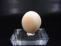 和田玉（ホータンぎょく）「無漂白/無着色・白玉」原石 4.5g