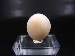 画像1: 和田玉（ホータンぎょく）「無漂白/無着色・白玉」原石 4.5g