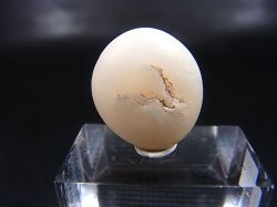 画像2: 和田玉（ホータンぎょく）「無漂白/無着色・白玉」原石 4.5g