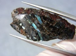 画像2: グリーンランド産ヌーマイト研磨スライス 4.0g
