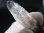 画像2: ブラジル・イティンガ産ブラックトルマリンインクルージョン水晶ポイント（ＤＴ） 9.7g (2)