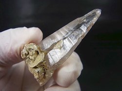 画像2: ガネーシュヒマール・ラパ産ウォータークリア水晶ポイント（テッシンハビット型） 20.4g