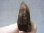 画像2: ノルウェー産モリオン（ケアンゴーム）原石 12.5g (2)