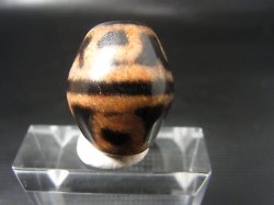 画像2: ヴィンテージ：赤「虎牙蓮花」西蔵（チベット）天珠 約23×19.5×19mm