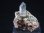 画像1: スイス・オーバーアルプ峠産水晶（クローライト付き） 10.8g (1)