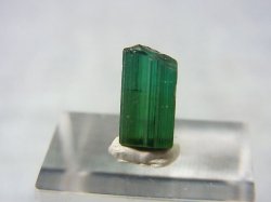 画像1: ブラジル産グリーントルマリン柱状結晶 1.8カラット