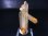 画像1: 五代松鉱山産トラピチェ・レモン水晶（貫入り） 4.7g (1)