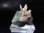 画像1: ナミビア・エロンゴ産フローライト/水晶原石 7.8g (1)
