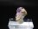 画像1: ドイツ・ザクセン州産フローライトon水晶(シデライト共生) 1.8g (1)