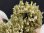 画像2: 新産地：ベトナム・ニントゥアン産エピドート原石（水晶/長石共生） 15.8g (2)