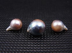 画像2: ベトナム・ニャチャン産バロックパール（黒蝶貝＆アコヤ貝/穴開け無し） 3点セット