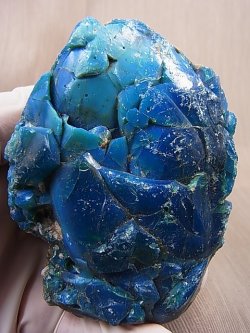 画像1: スウェーデン産ブルースウェディッシュスラグ（スウェディッシュブル－） 421.5g