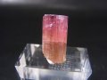 ナミビア・エロンゴ産ピンクトルマリン柱状結晶 18.6カラット