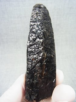 画像1: フィンランド・リプシニエミ産モリオン（黒水晶/ケアンゴーム/ブラックトルマリン付き） 163.8g