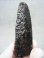 画像1: フィンランド・リプシニエミ産モリオン（黒水晶/ケアンゴーム/ブラックトルマリン付き） 163.8g (1)