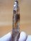 画像1: マラウイ・マロサ産レーザーポイント水晶（エジリン/ジルコン共生） 19.2g (1)