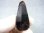 画像2: フィンランド・リプシニエミ産モリオン（黒水晶/ケアンゴーム） 18.3g (2)