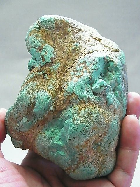 オンライン限定商品】 A025 自然色 天然トルコ石 www.petcentercanoas