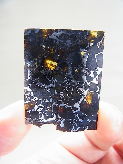 ロシア産セイムチャン パラサイト 石鉄 隕石16 5g パーフェクトストーン Perfect Stone