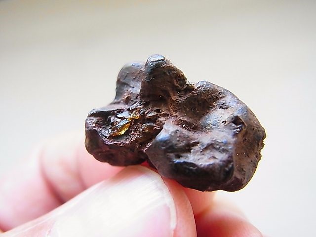 イミラック・パラサイト（石鉄）隕石10.5g