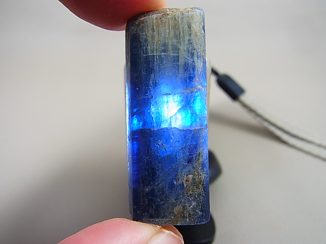 透け感あり！綺麗な ネパール産 カイヤナイト原石 鉱物天然石