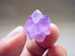画像1: ロータスアメジストクラスター7.7g