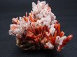 画像1: ＜只今商談中＞ダルネゴルスク産レッドクオーツ 100.9g