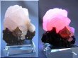 画像1: 内モンゴル産ベータ型水晶＆ガーネット付きライトピンク（強蛍光）カルサイト原石51.0g