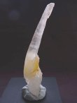 画像2: ディアマンティーナ産ベントクオーツ（曲がり水晶）ポイント103.9g