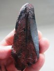 画像2: フィンランド・リプシニエミ産モリオン（黒水晶）ポイント134.9g